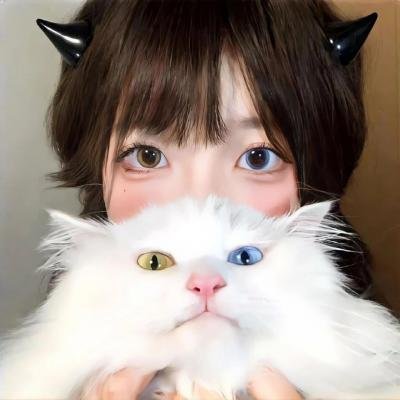 英雄正传